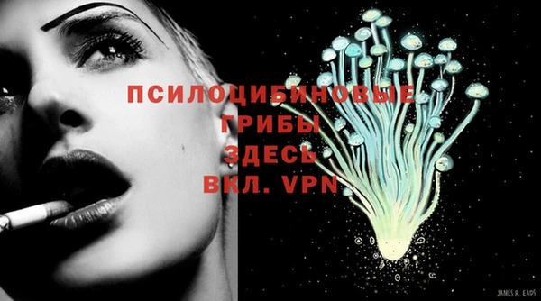 спайс Абаза
