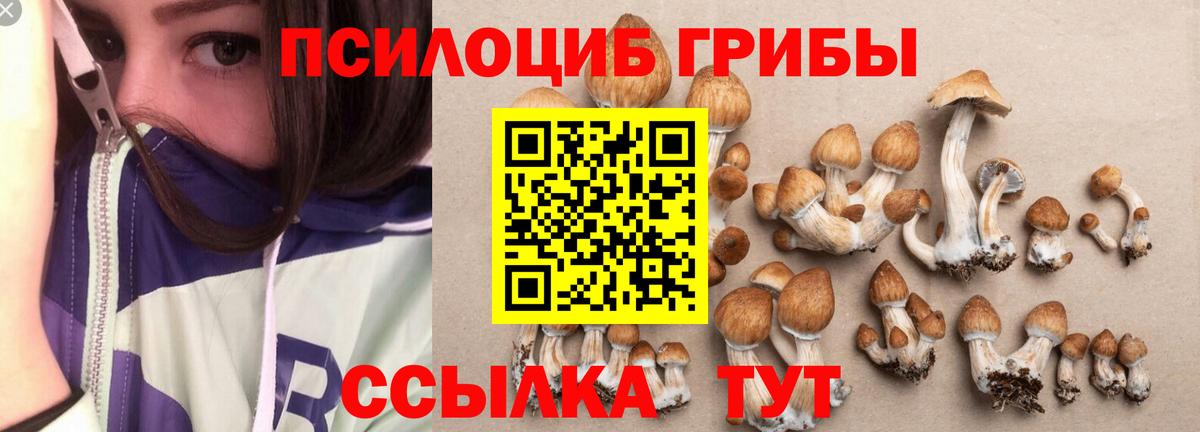 Галлюциногенные грибы мухоморы Омск